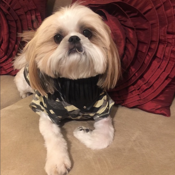 Hello ☺️ - Picture 8 of 8